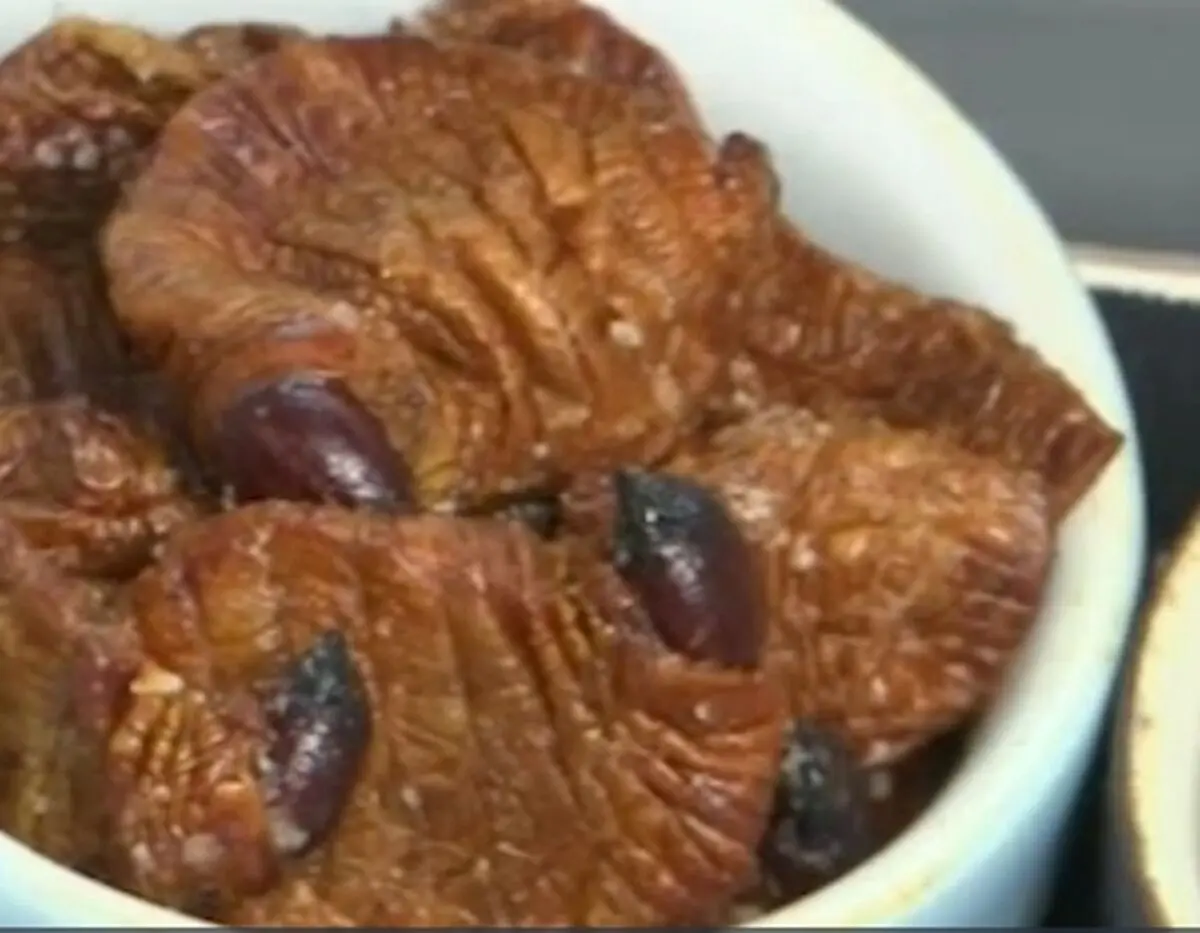 تزئین غذا با حشرات + ویدئو