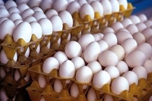 کشف حدود ۴ تن تخم مرغ فاسد در آستارا