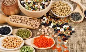 ترفندهایی برای جلوگیری از حشره زدن حبوبات