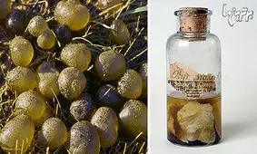 اتفاقات تاریخی که هیچکس توضیحی برایشان ندارد