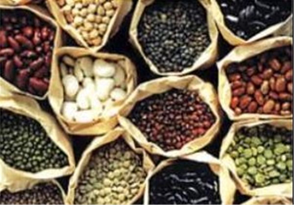 قیمت حبوبات در بیرجند؛ شنبه ۷ اردیبهشتماه + جدول