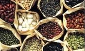 قیمت حبوبات در بیرجند؛ شنبه ۷ اردیبهشت‌ماه + جدول