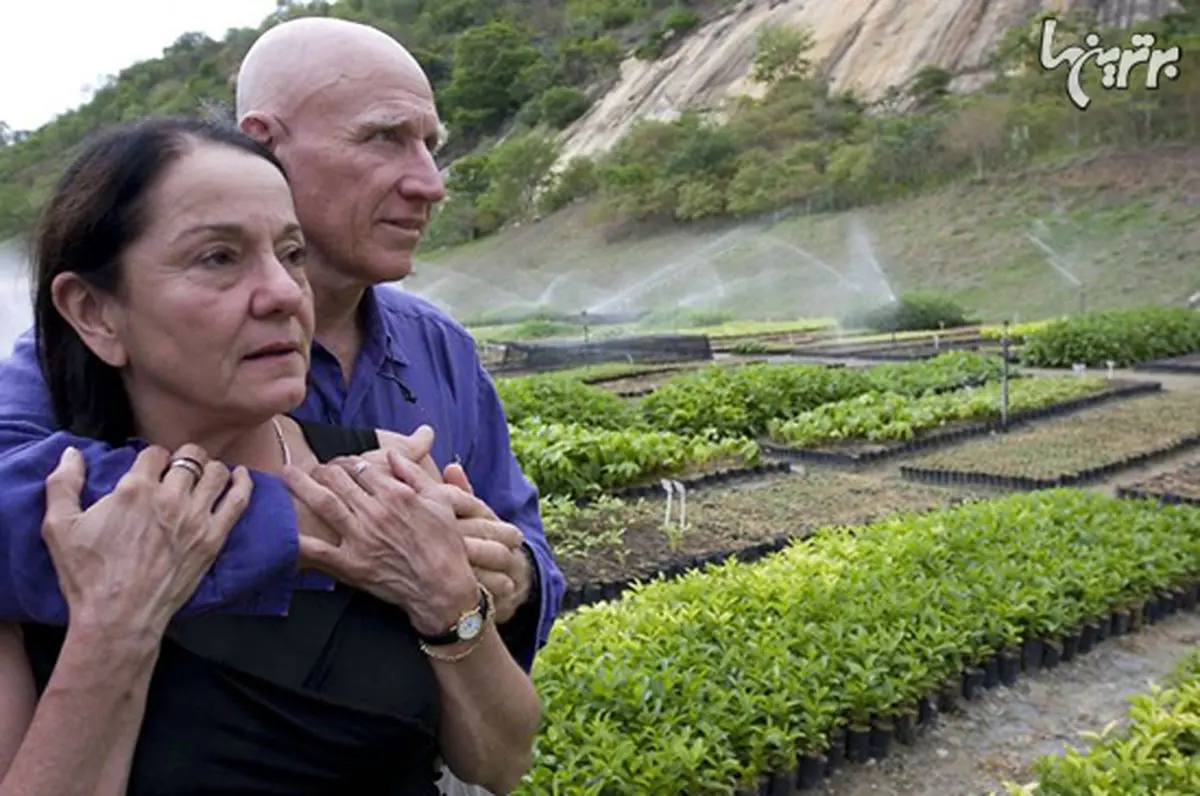 زن و شوهری که در عرض ۲۰ سال جنگل مرده را احیا کردند