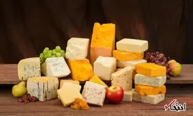 همه چیز درباره خواص پنیر