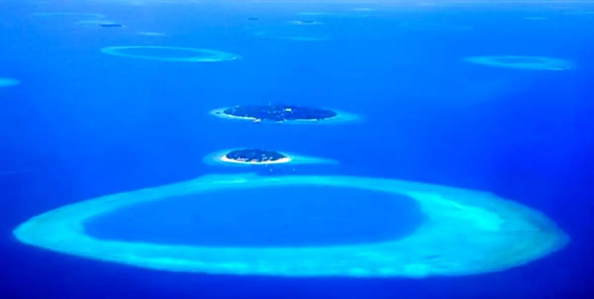 کشف 200 هزار ویروس در عمق اقیانوس ها