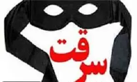 زنی که برای سرقت طلاهای جاری‌اش سارق اجیر کرد!