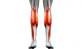 نیروی عضلانی با عمر طولانی ارتباط دارد