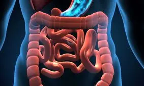 برای داشتن گوارش بهتر این عمل را انجام دهید