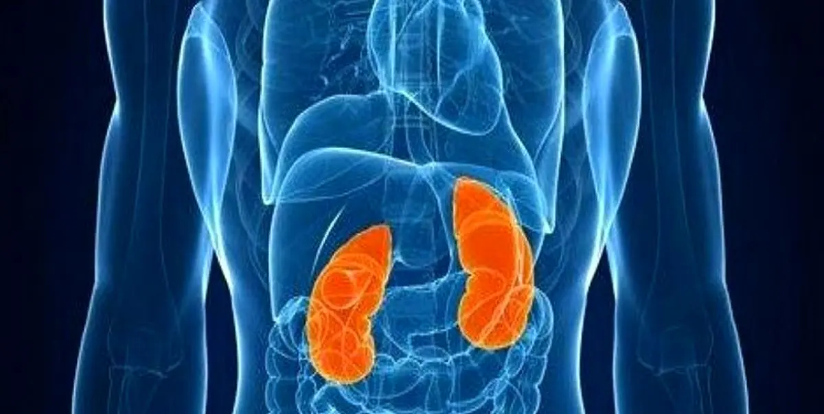 تحویل کلیه پیوندی برای عمل با پهپاد