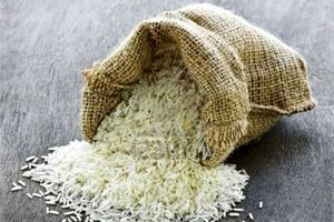 چرایی ‌‌توزیع برنج خارجی در مازندران/این بار ‌هم پای دلالان و مافیا در میان است