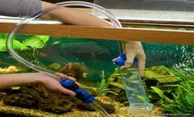 مراحل تمیزکاری آکواریوم خانه