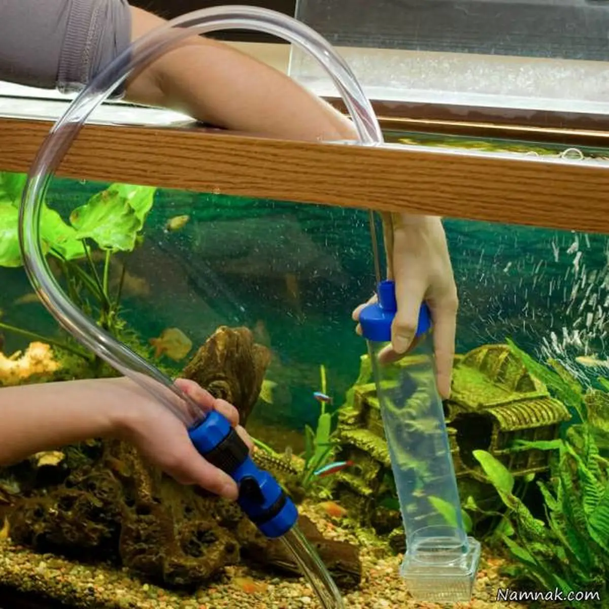 مراحل تمیزکاری آکواریوم خانه