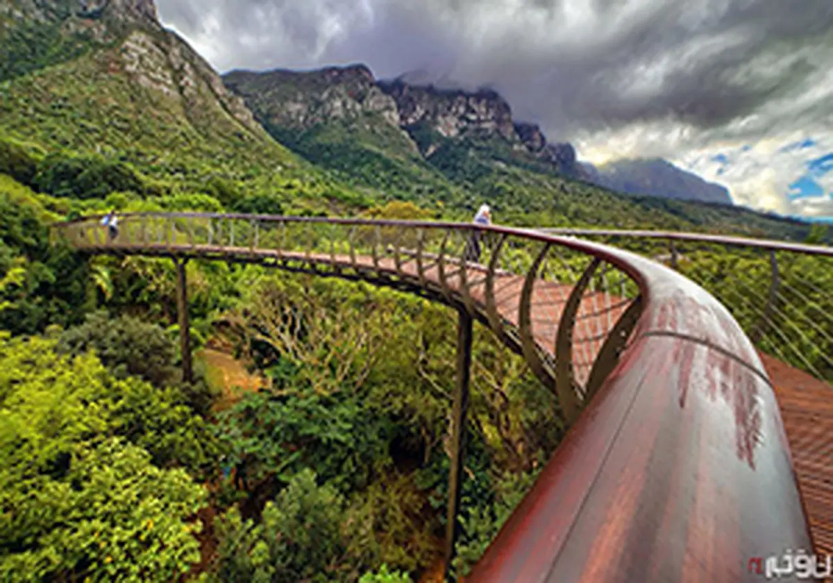 ماشین مخصوص بازرسی از پل هوایی + فیلم