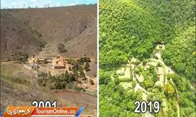 4گوشه دنیا/ کار کم نظیر یک زوج