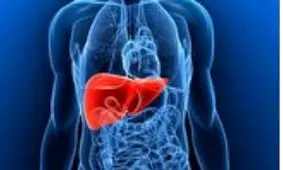 ۶ ماده غذایی که برای داشتن کبد سالم باید مصرف کرد