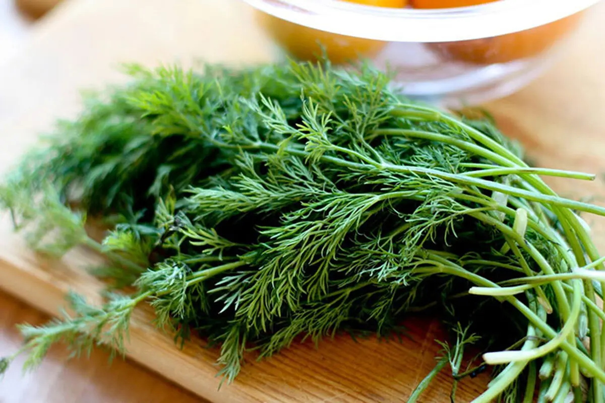 با این سبزی به جنگ کم خونی بروید