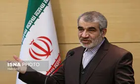 کدخدایی: شورای نگهبان نظر مثبت یا منفی نسبت به استانی شدن انتخابات ندارد