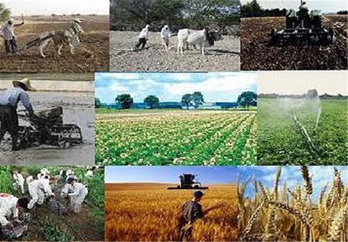نرخ خرید تضمینی محصولات کشاورزی برای سال زارعی ۹۵-۹۶ اعلام شد+سند