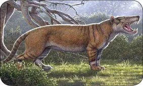 کشف اتفاقی یک گونه جدید حیوانی