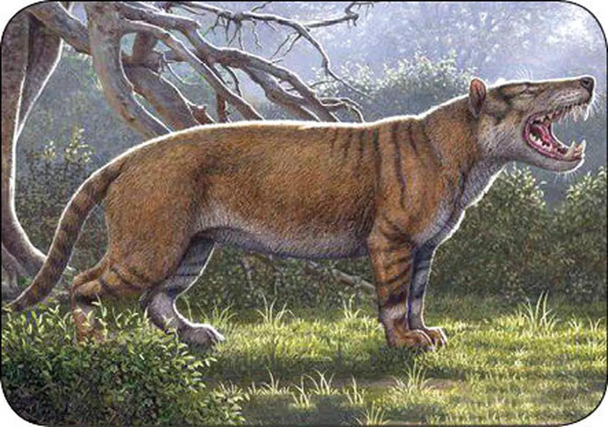 کشف اتفاقی یک گونه جدید حیوانی