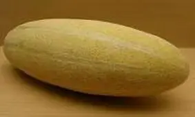 خربزه برای افراد کم خون مفید است