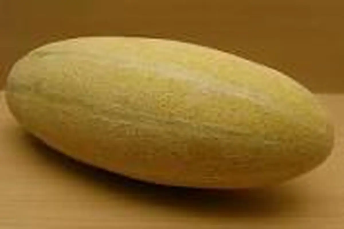 خربزه برای افراد کم خون مفید است
