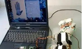 محققان داخلی گامی برای بهبود فلج عضلانی ناشی از سکته مغزی برداشتند