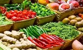 کدام محصولات ارگانیک هستند؟