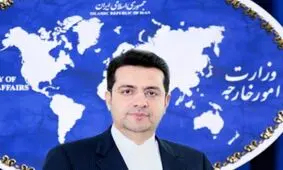 سخنگوی وزارت خارجه: ظریف آب در خوابگه مورچگان ریخت