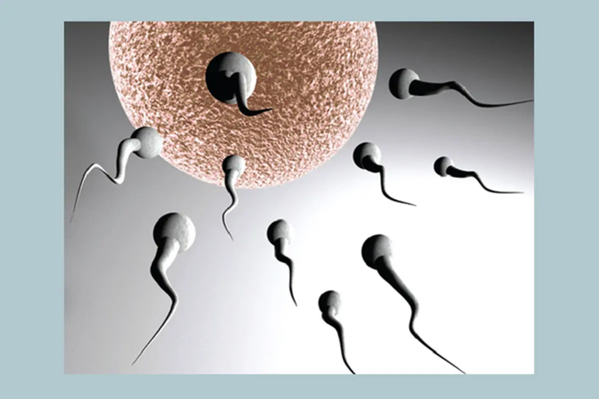 روش‌های پیشگیری و تشخیص ناباروری قبل از ازدواج