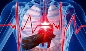 وابستگی طول عمر به میزان تپش قلب در زمان استراحت
