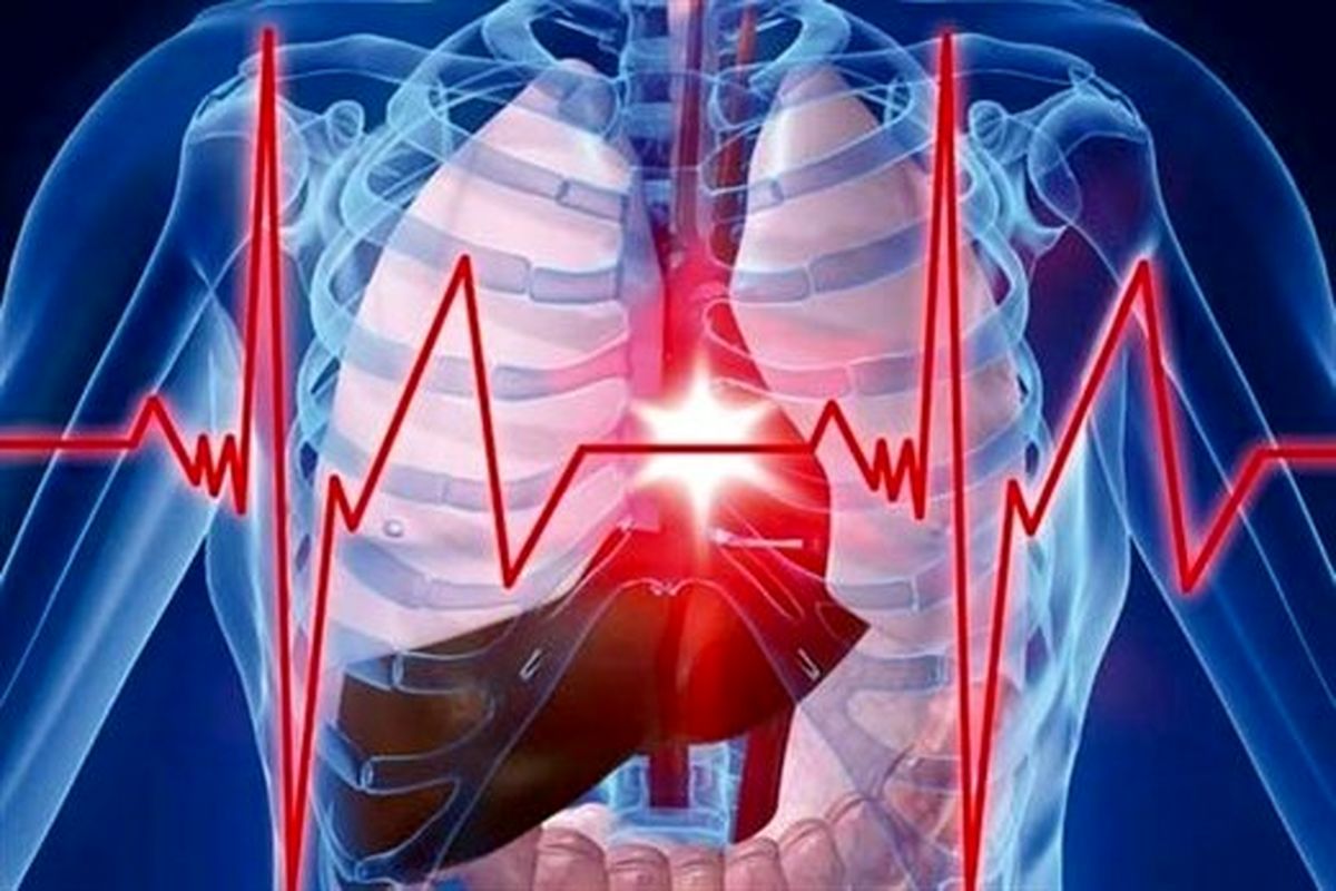 وابستگی طول عمر به میزان تپش قلب در زمان استراحت