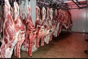 کشف محموله گوشت قاچاق در دامغان
