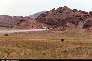 مبارزه با ملخ صحرایی در ۱۸ هزار هکتار از اراضی سیستان و بلوچستان انجام شد