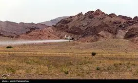 مبارزه با ملخ صحرایی در ۱۸ هزار هکتار از اراضی سیستان و بلوچستان انجام شد
