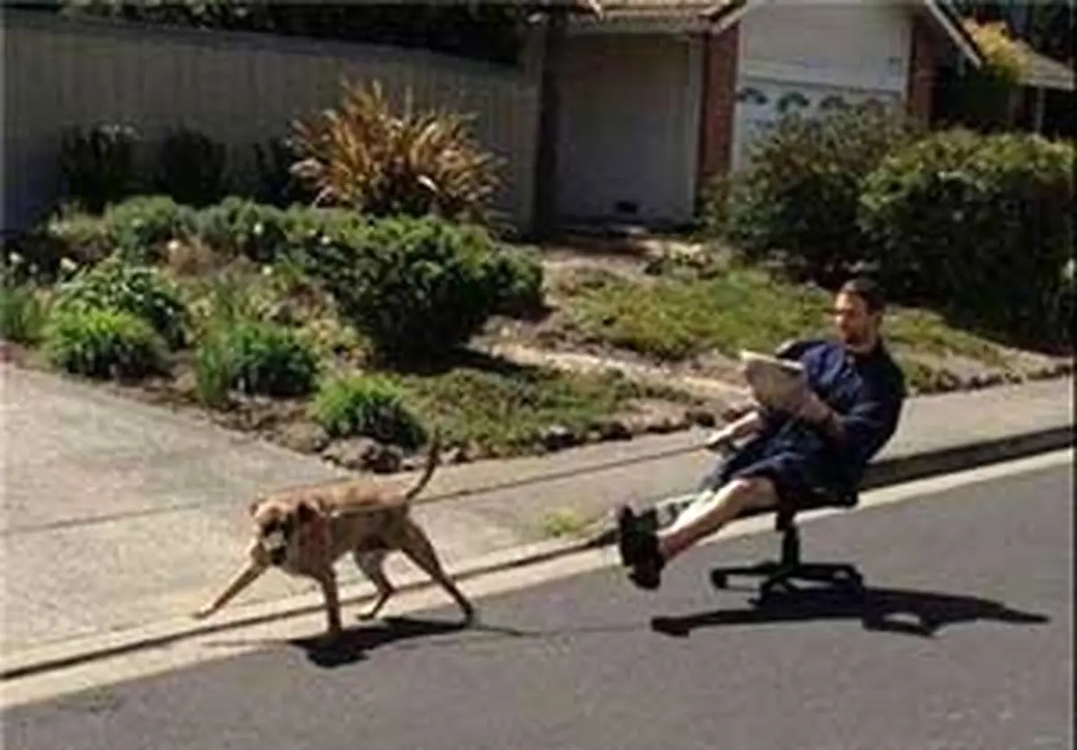 عکس های جالب اشخاص تنبلی که مبتکر شدند!