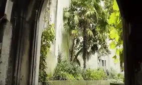 باغ مخفی 900 ساله در شهر لندن