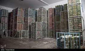 قیمت انواع میوه، مواد پروتئینی و حبوبات در ساری؛ دوشنبه ۹ اردیبهشت‌ماه + جدول