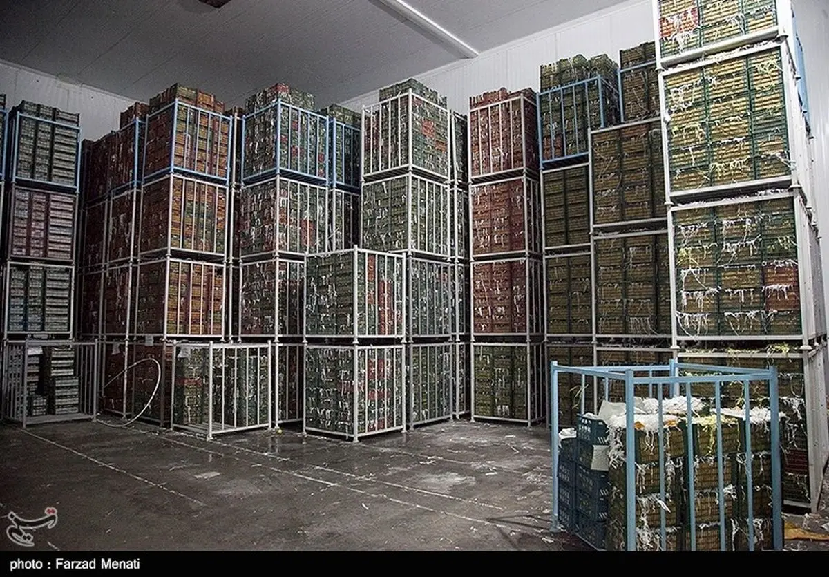 قیمت انواع میوه، مواد پروتئینی و حبوبات در ساری؛ دوشنبه ۹ اردیبهشت‌ماه + جدول