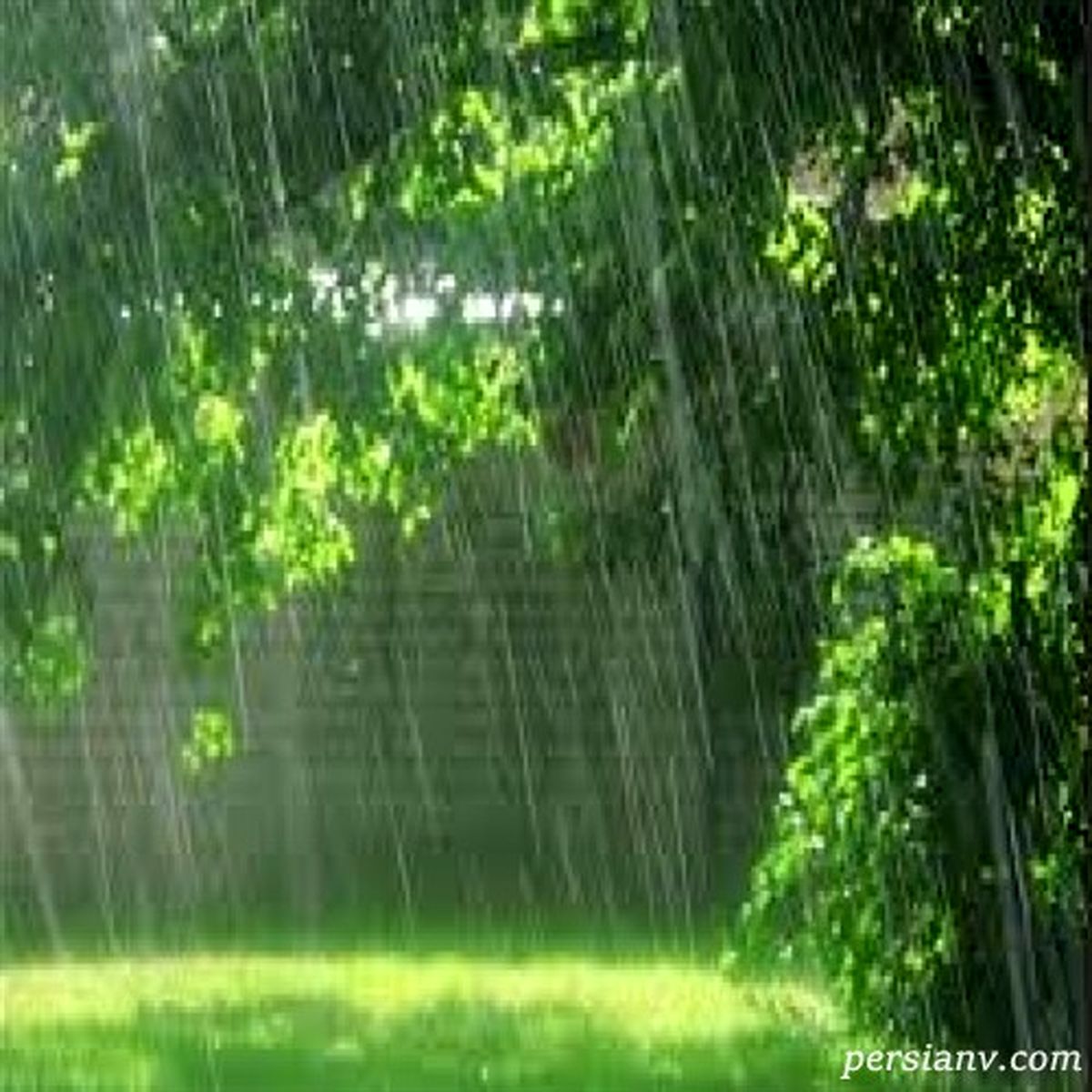برکات بارندگی های اخیر در سفره هاي عشاير+ویدئو