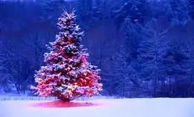 حقایقی جالب و خواندنی در مورد کریسمس (عکس)