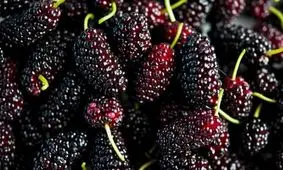 میوه‌ای بهاری که کاملا بدنتان را سم‌زدایی می‌کند