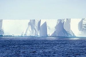 بزرگ‌ترین سکوی یخی جهان 10 برابر سریع‌تر ذوب می‌شود