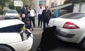 لو رفتن تصادف صحنه‌سازی شده برای دریافت خسارت از بیمه
