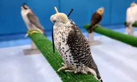 خاص‌ترین بیمارستان دنیا را بهتر بشناسید + تصاویر