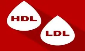 6 ماده ی غذایی مضر برای کلسترول خون بالا