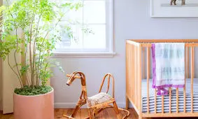 ۱۶ گیاه مناسب برای اتاق خواب کودک
