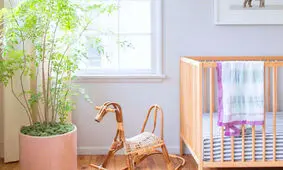 ۱۶ گیاه مناسب برای اتاق خواب کودک