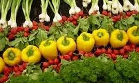 تنظیم زمان غذا خوردن به کاهش بروز بیماریهای قلبی و دیابت کمک می‌کند