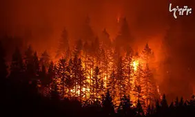 ویرانگرترین و وحشتناک‌ترین آتش‌سوزی‌های تاریخ + تصاویر